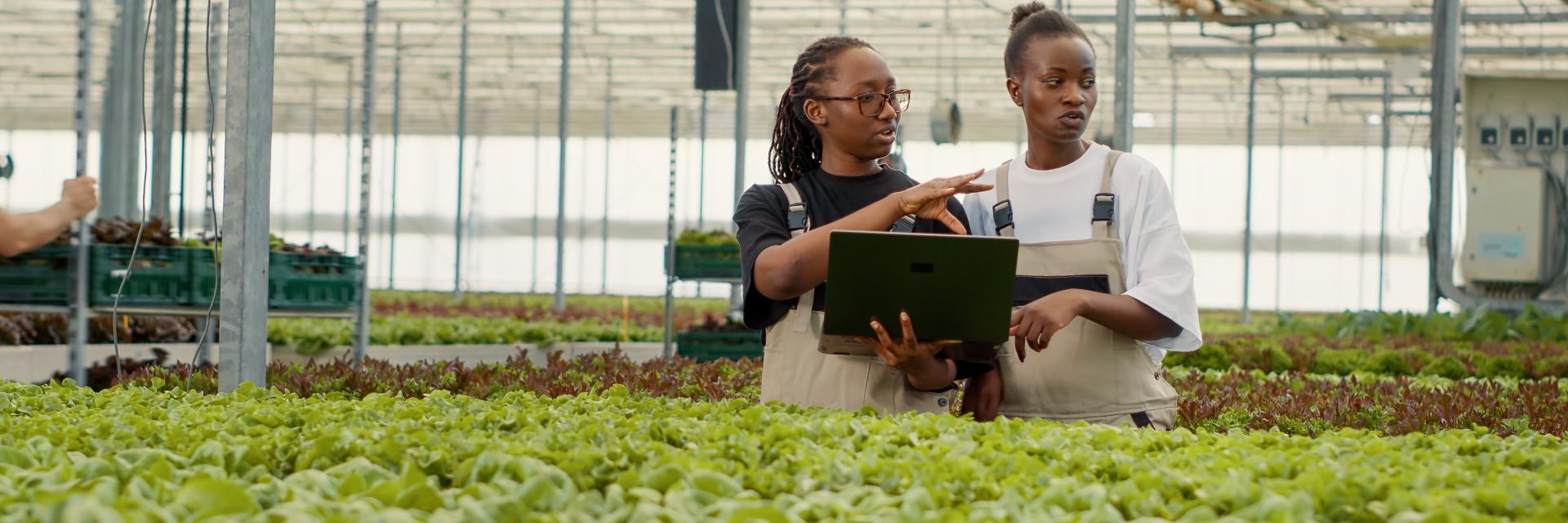Workshop on Smart Gender-Based Investment for Inclusive Growth in North Africa Explores Opportunities for Women Entrepreneurs