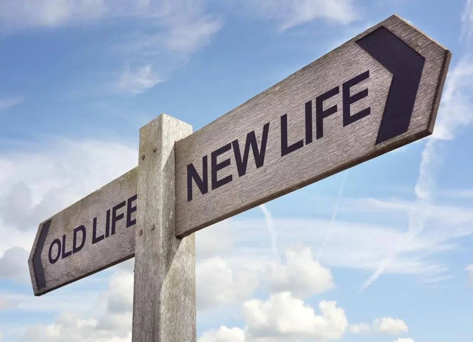 Harnessing the Law of Attraction to Make Career Changes