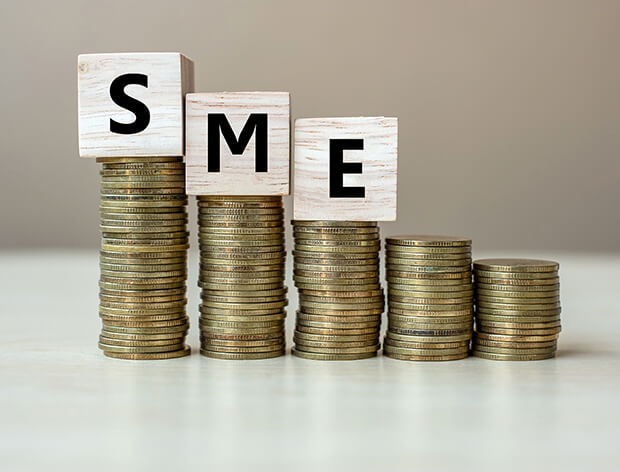 Unlocking Growth: Strategies for Financing and Investment in Small and Medium Enterprises (SMEs)