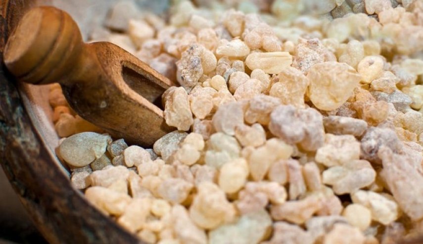 “Harmony of Heritage: A Feasibility Study for Establishing an Omani Frankincense Products Manufacturing and Sales Enterprise”