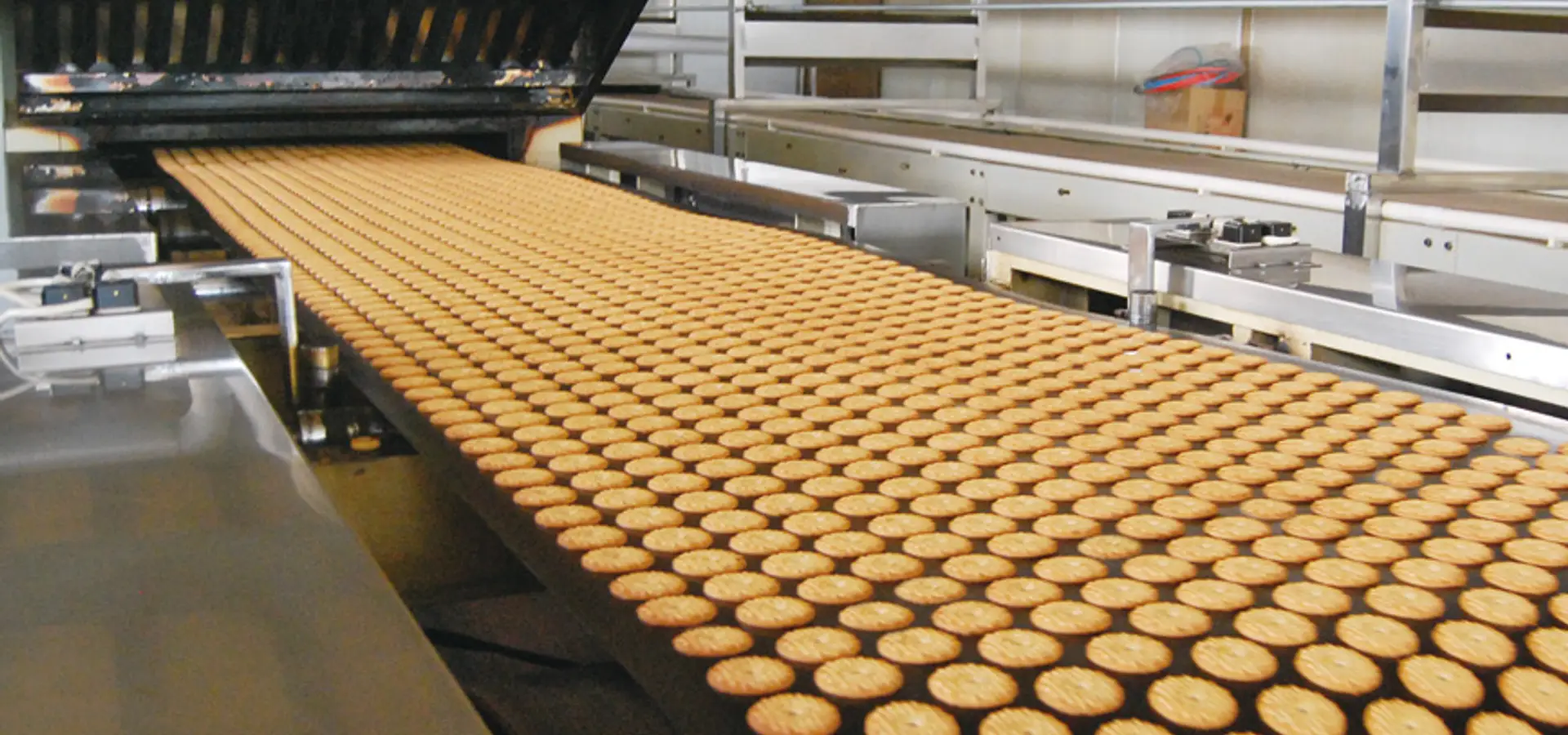 Feasibility Study and Business Plan for Establishing a Biscuit Manufacturing Project