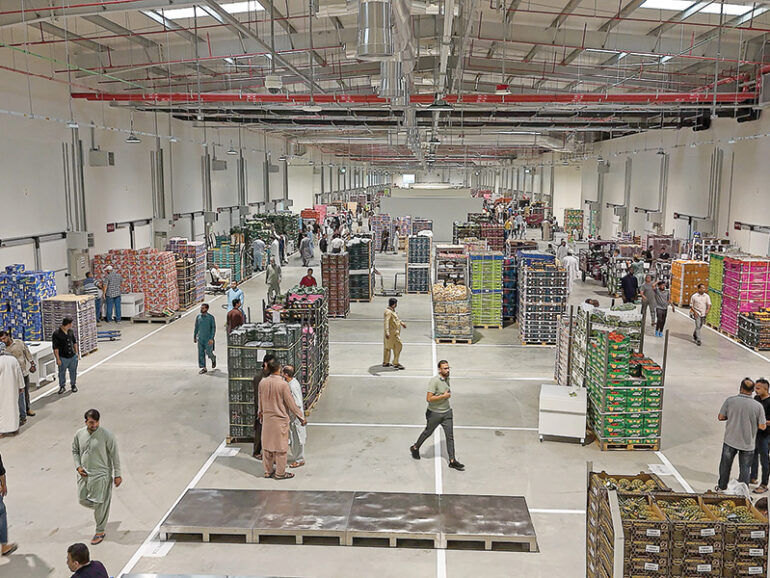 Silal market boosts Oman’s vegetable, fruit business