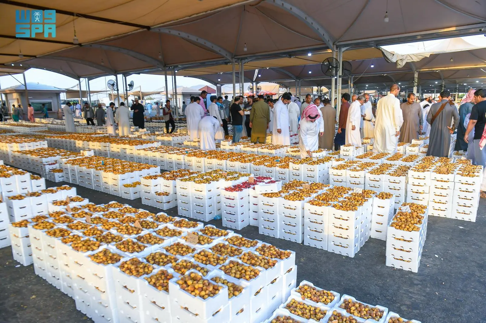 Thriving Economic Buzz in Madinah’s Date Market