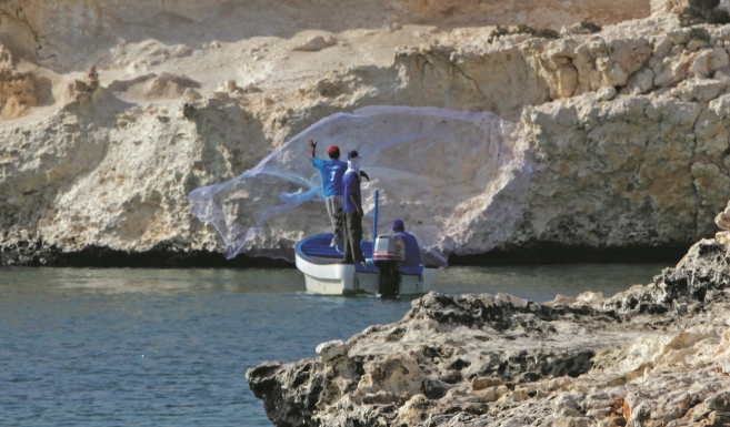 Oman announces two-month ban on kingfish trading and fishing