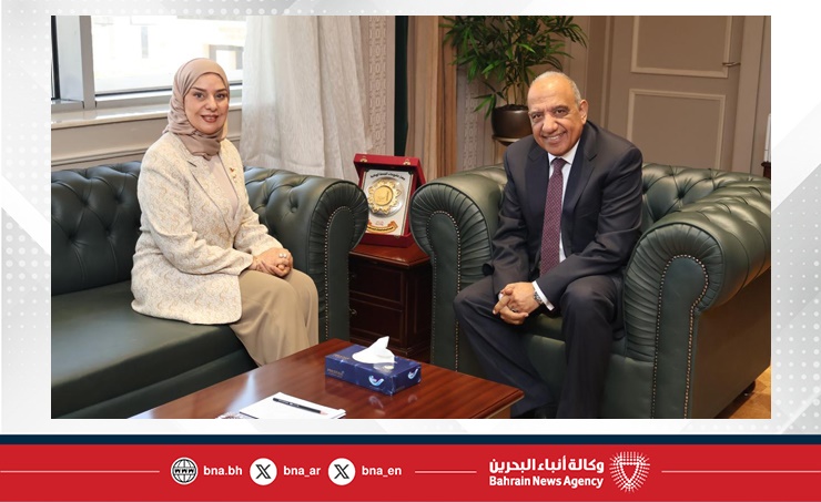 Egyptian Electricity and Renewable Energy Minister receives Ambassador to Cairo