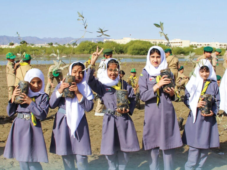 Green Alliance formed to accelerate carbon credit investments, afforestation