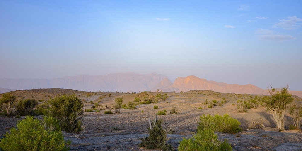 Oman Joins World in Celebrating International Day of Clean Air