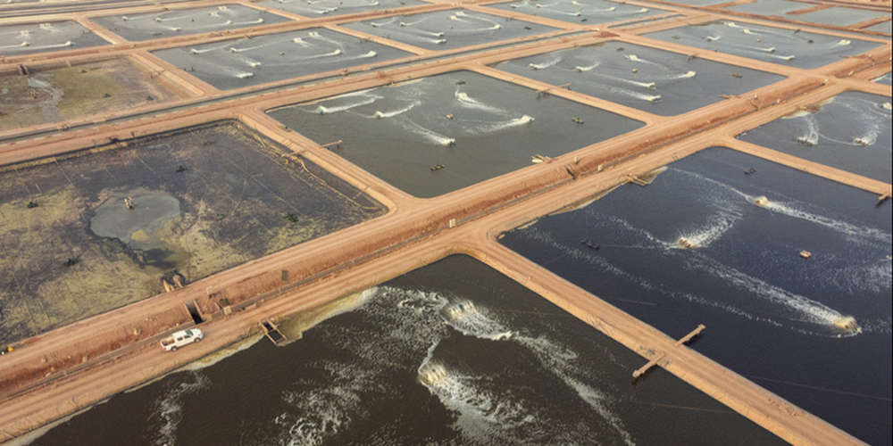 OIA Announces Merger of Oman Food Investment Company and Fisheries Development Oman