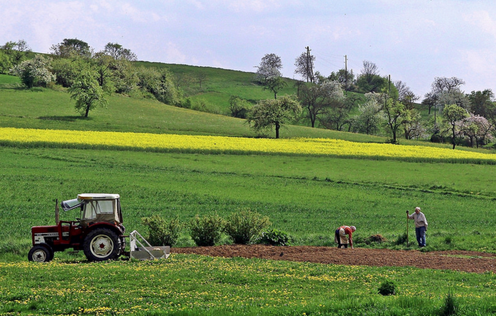 Brussels Urged to Target EU Agriculture Subsidies at Poorer Farmers