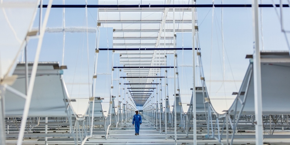 Oman Launches Initiatives to Reduce Carbon Emissions