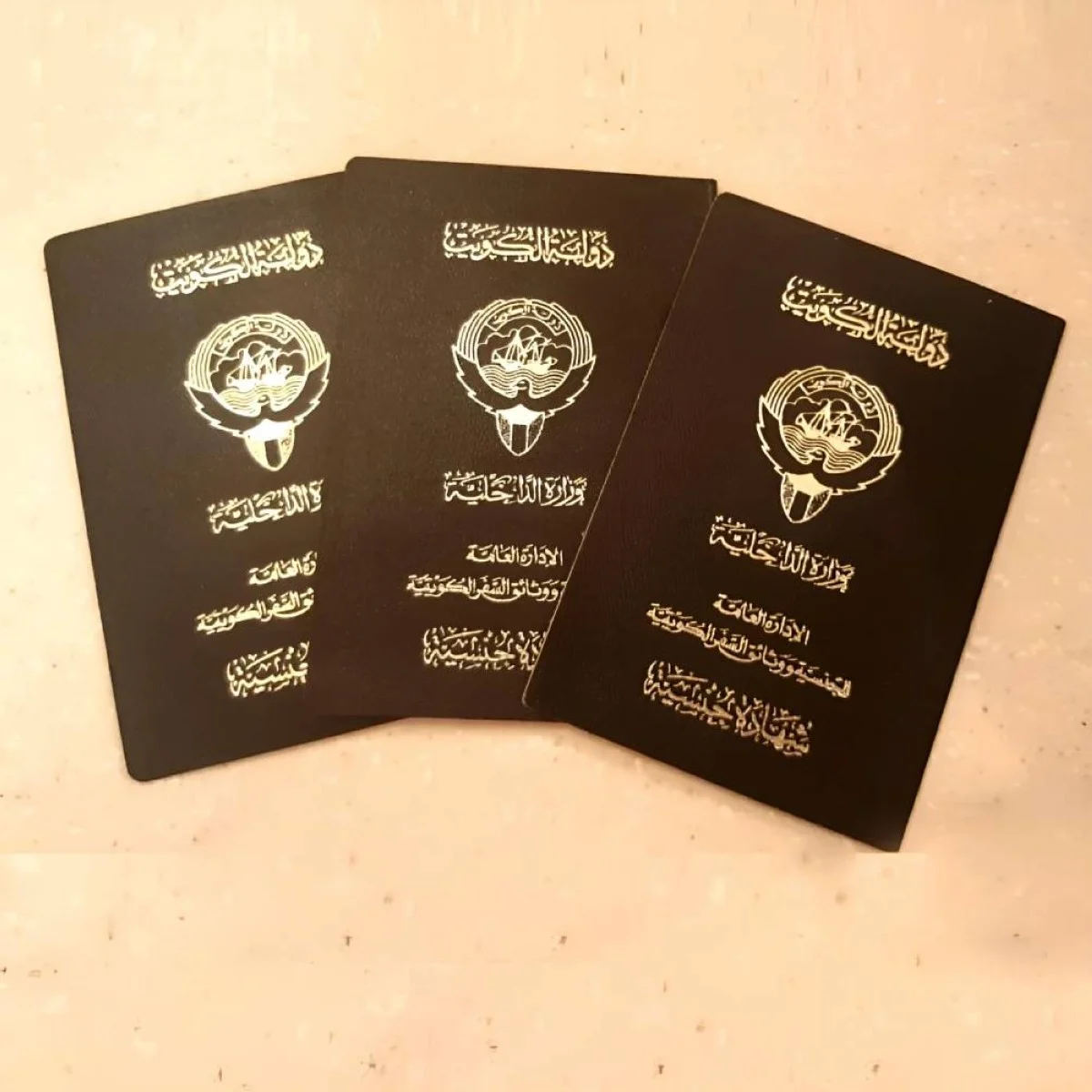 Commission strips Kuwaiti citizenship of 1,535 individuals