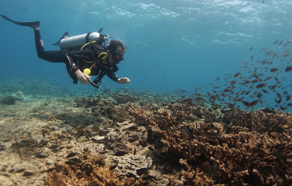 SeaOman Becomes Oman’s First Digital Member of Green Fins