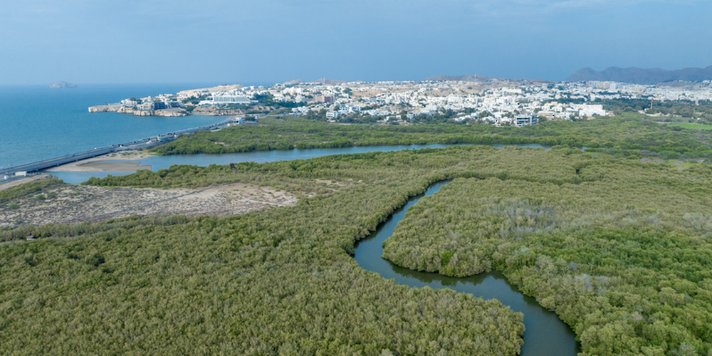 Energy Ministry Issues Decision to Establish Oman Net Zero Centre