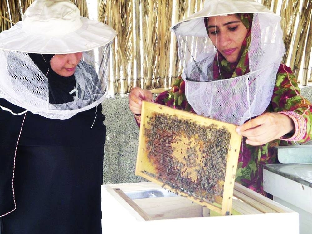FAO Oman Projects See 83% Surge in Value