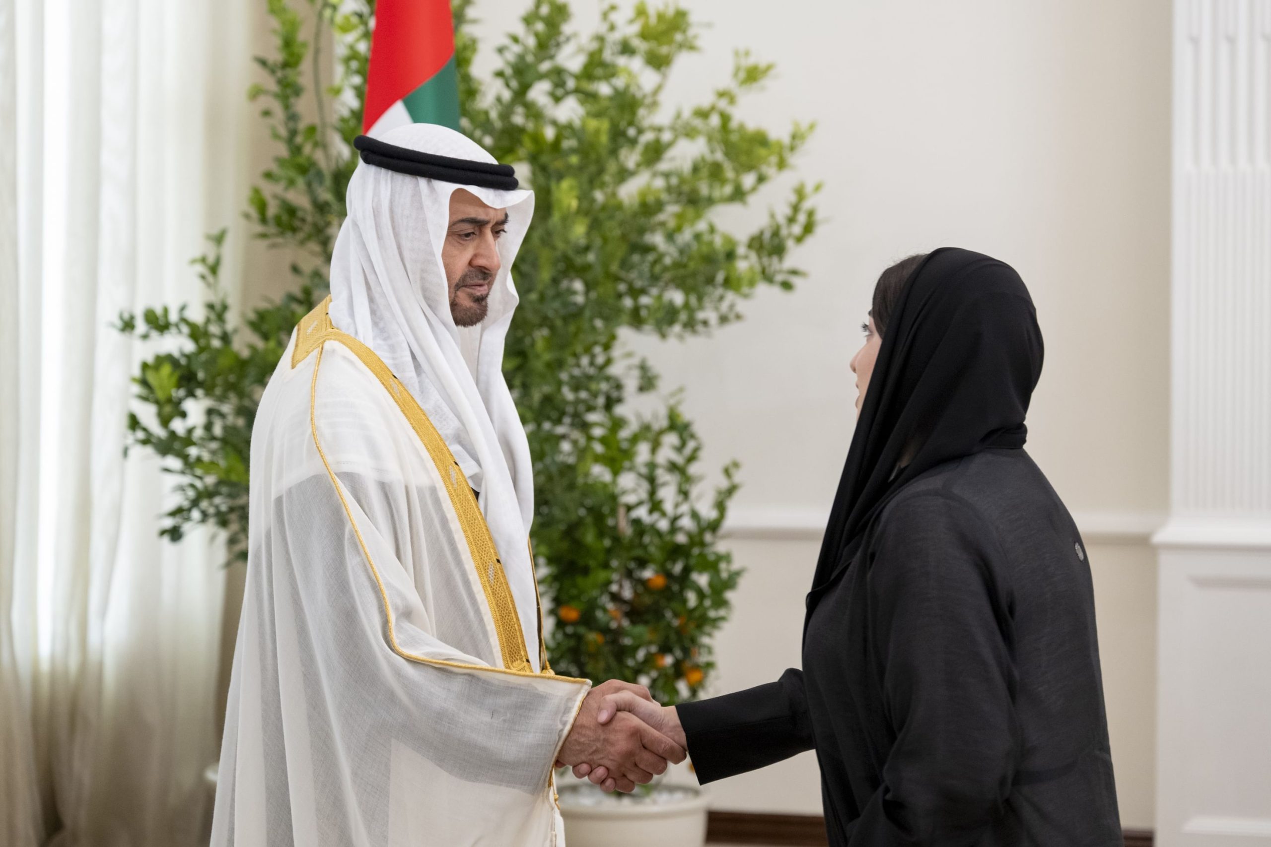 UAE Ambassador to Sweden sworn in before President