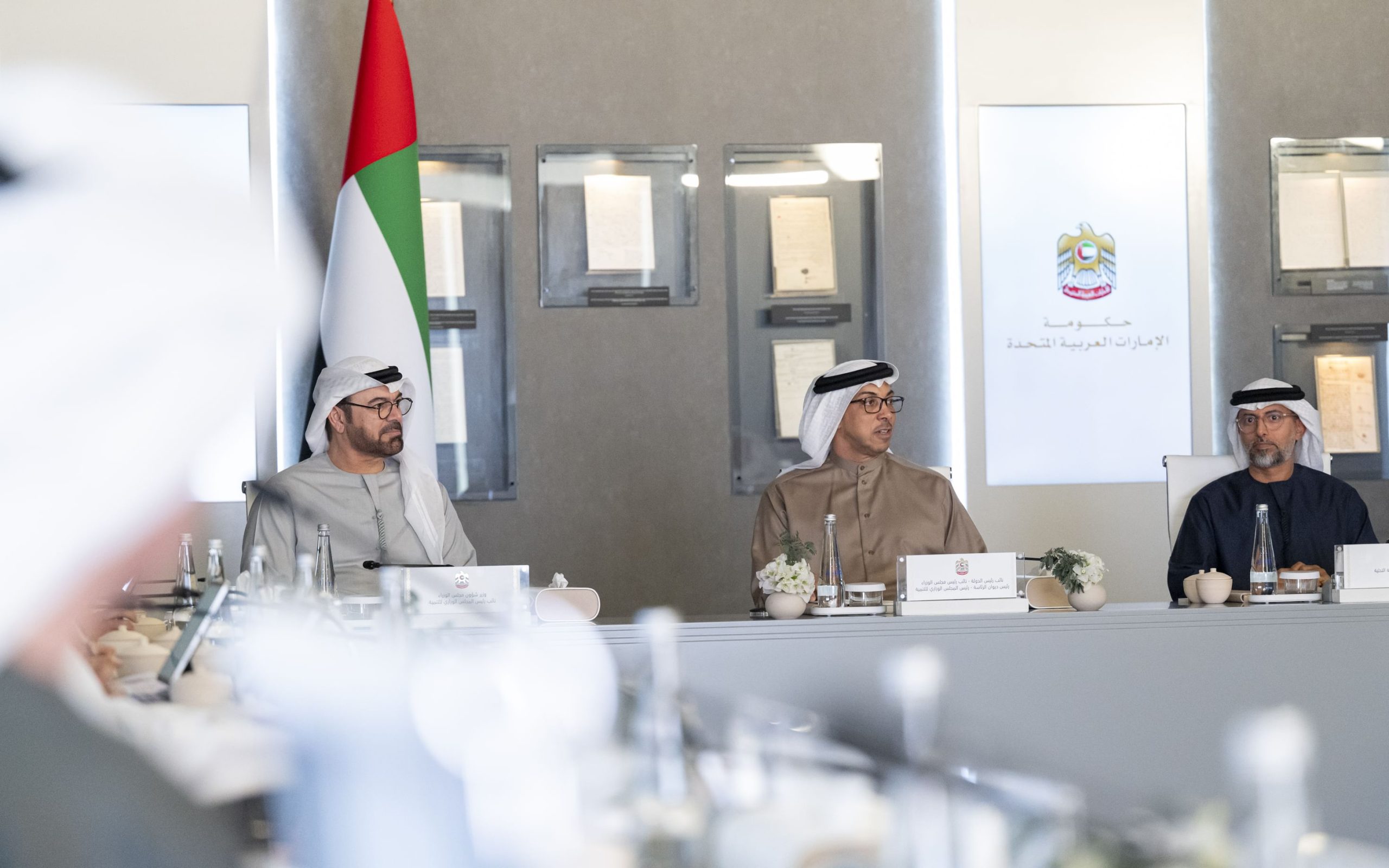 Mansour bin Zayed chairs Ministerial Development Council meeting