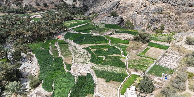 Project “Agricultural Tourism” in the village of Balad Sit.. Revitalization of rural areas in the Sultanate of Oman