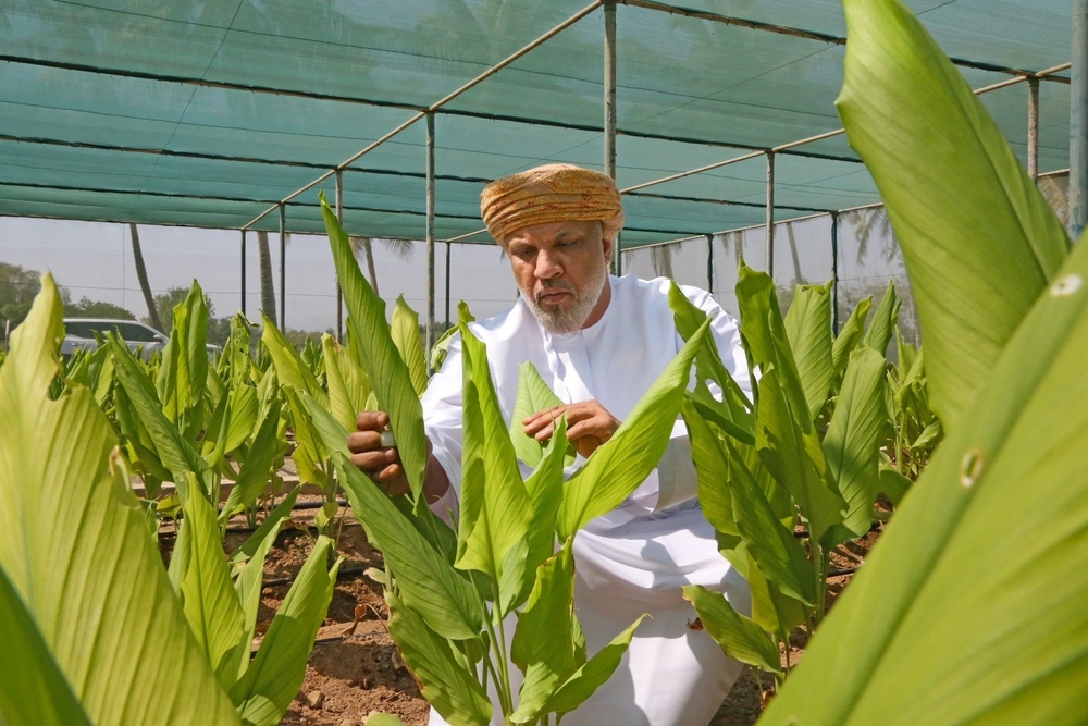Seventh Edition of Oman International Food Safety Conference to Begin on 21 April