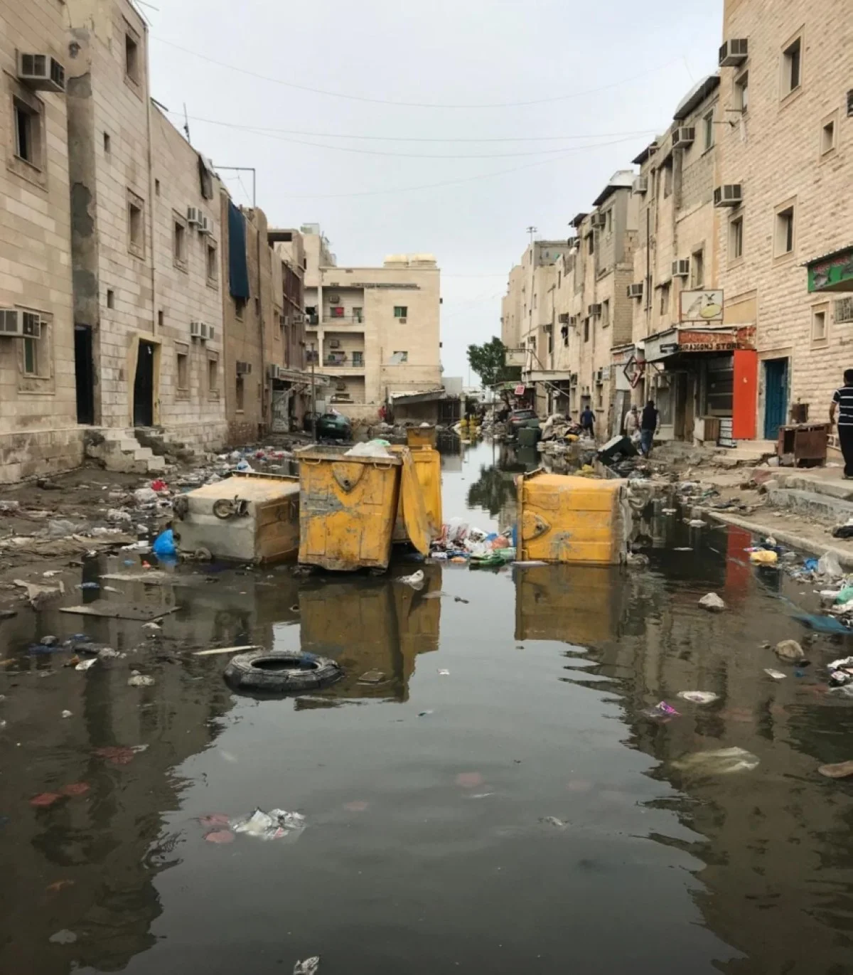 Municipal Council environment committee urges urgent reforms for Jleeb Al-Shuyoukh